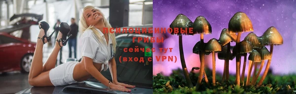 молекула духа Алзамай