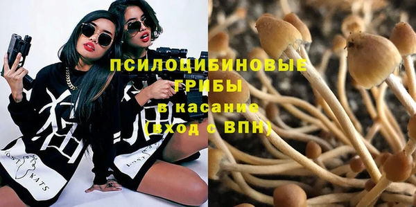 молекула духа Алзамай
