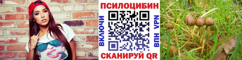 цены   Полярные Зори  Псилоцибиновые грибы мицелий 